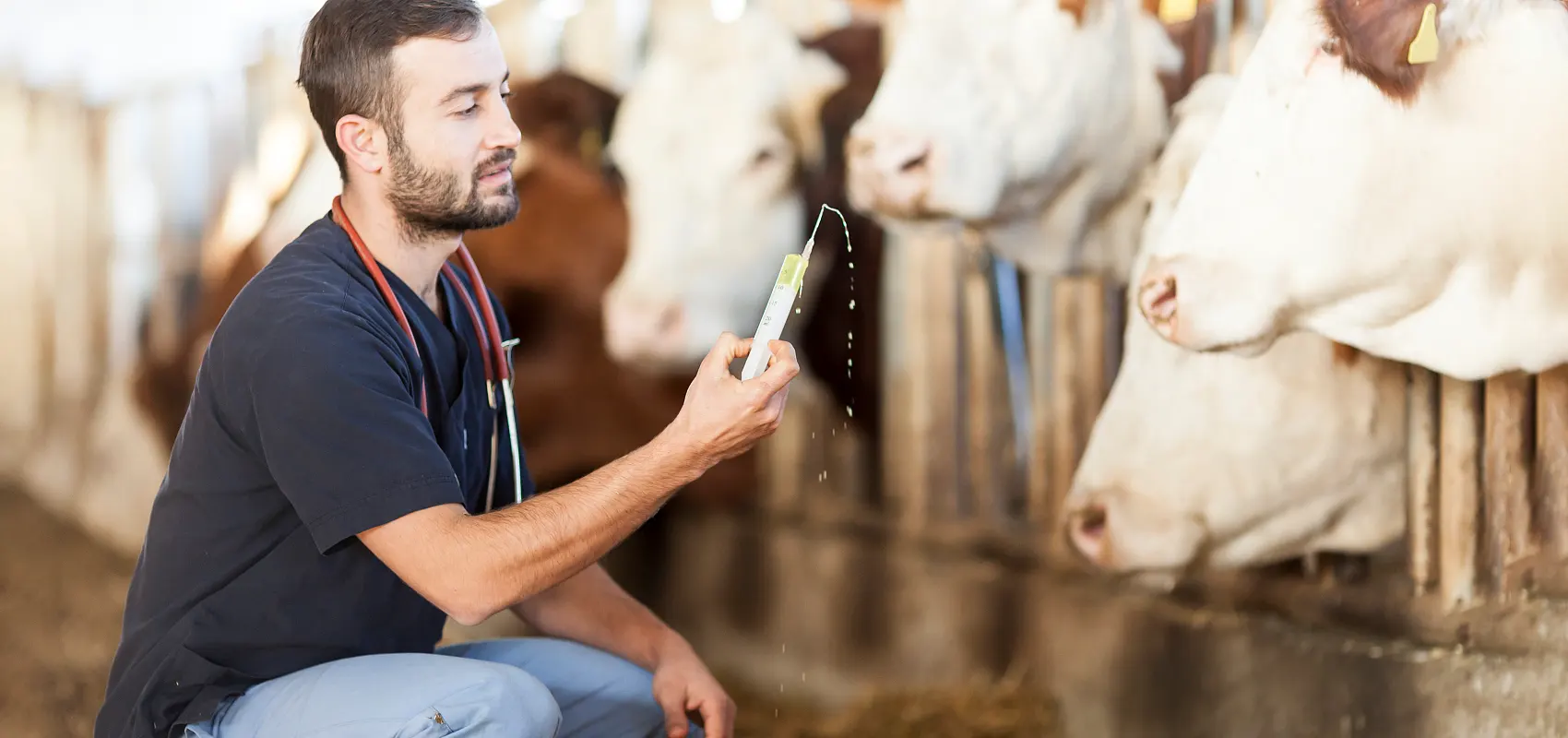 Co je veterinární obor chovu zvířat?